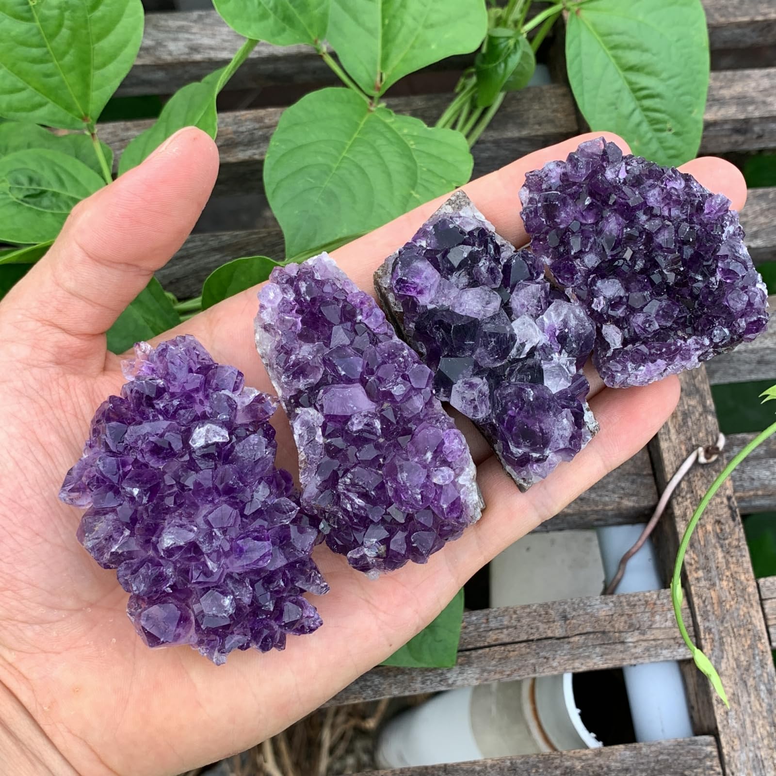 MIMOSA Amethyst clusters closeup crystal facets add sparkle for meditation spaces.