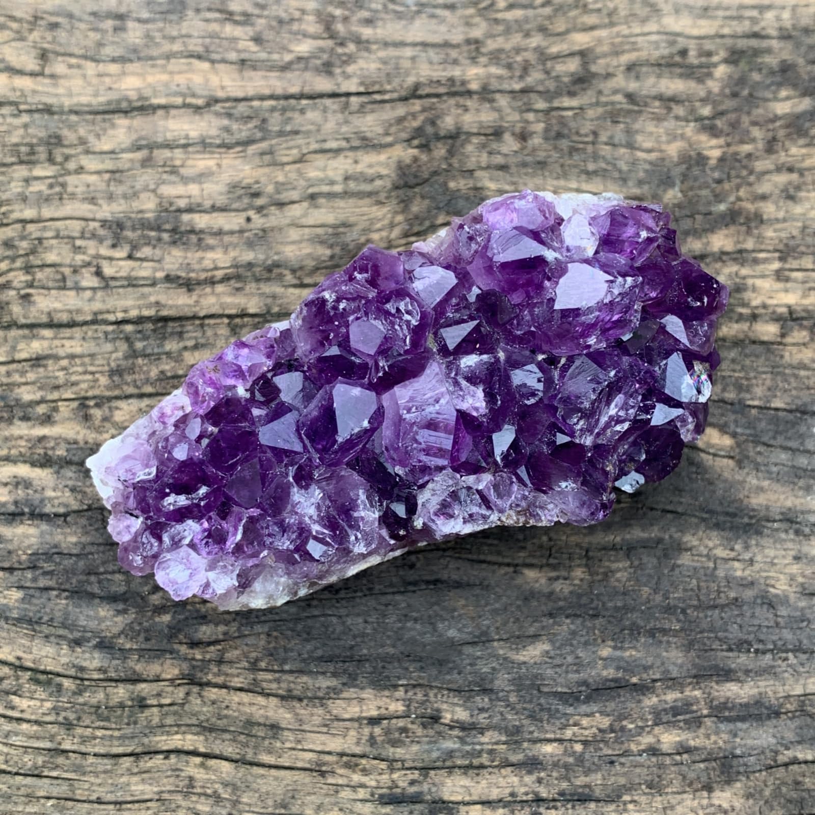 MIMOSA Amethyst clusters natural light highlight brightens shelves with deep color.