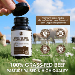 Minch beef pancreas capsules with digestive enzymes for digestion.