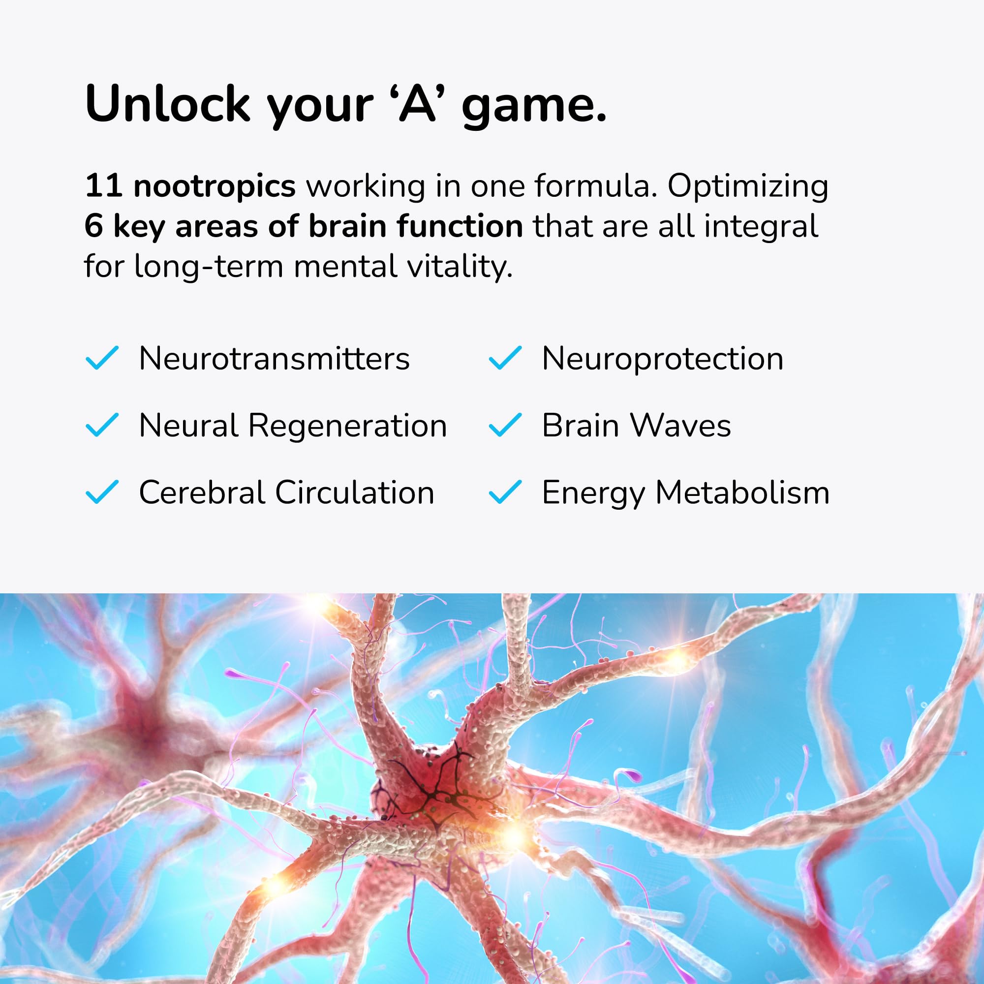 Mind Lab Pro MLP4 label-detail highlights plant-based ingredients for clean cognitive support