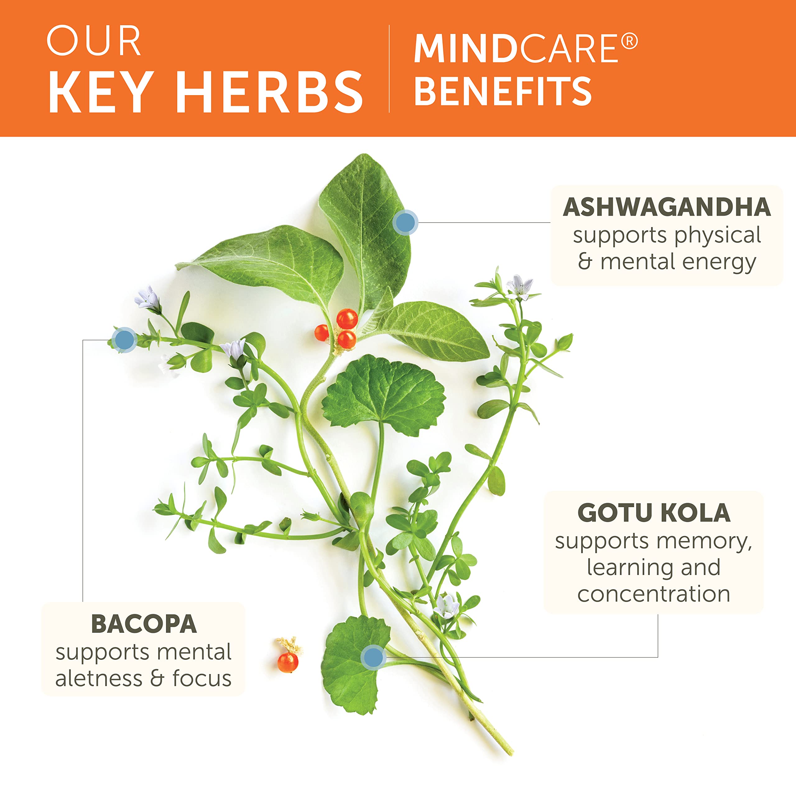 MindCare packaging box with Ayurvedic branding for trust