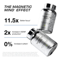 MindRight Magnetic Mind capsules pack demonstrates convenient nootropic routine for productivity.