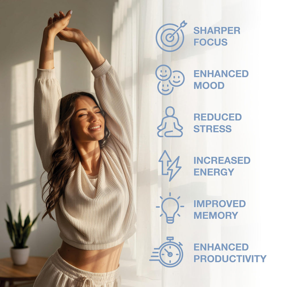 MindRight Magnetic Mind mood and energy scene illustrating uplifted motivation.