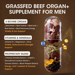 Mininch beef kidney capsules with iron for endurance
