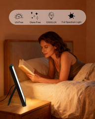 3-in-1 mount with timer and brightness control for flexible routines.
