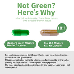 MISS PEP Moringa bottle back displays nutrition details for informed daily use