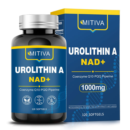 MITIVA Urolithin A bottle front shows daily vitality support for active lifestyles