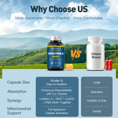 MITIVA Urolithin A packaging shows 120 softgels and a two-month supply