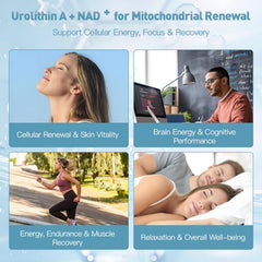 MITIVA Urolithin A softgels in bottle convey convenient daily dosing