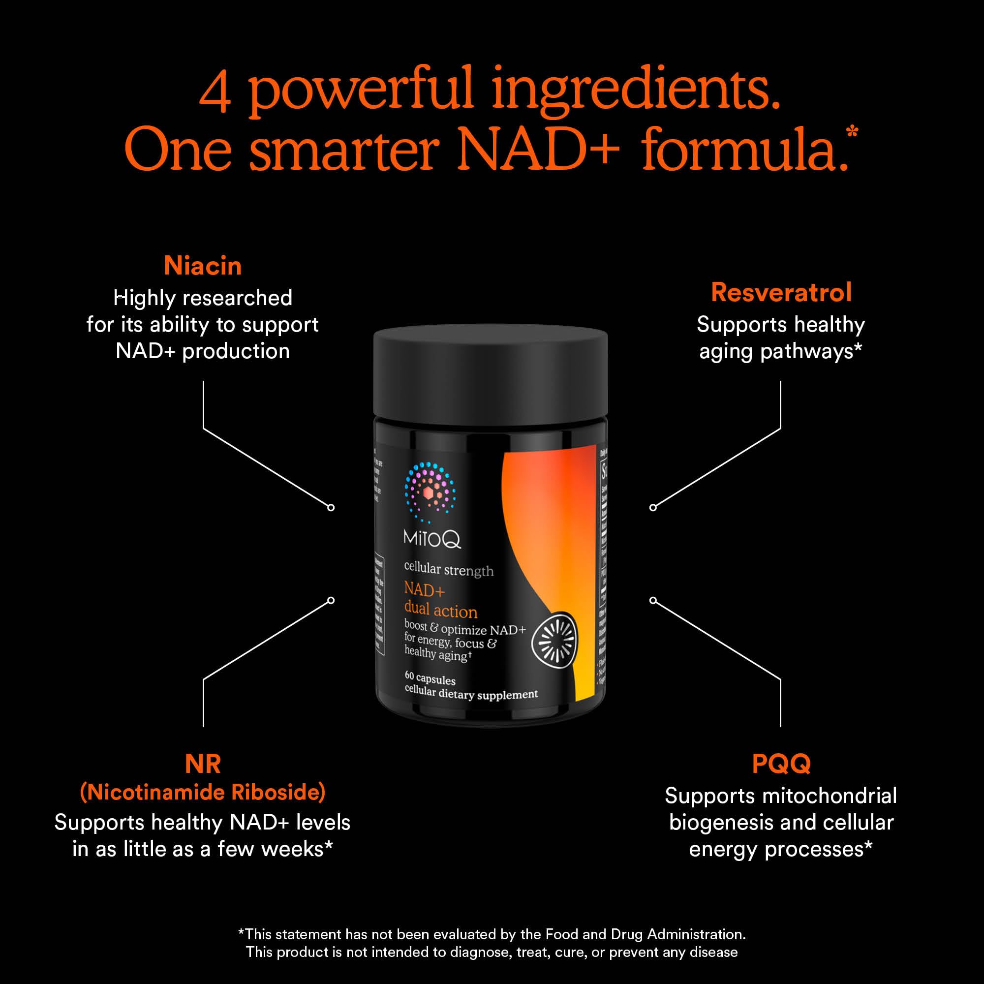 PQQ and resveratrol visuals indicate mitochondrial support in MitoQ formula.