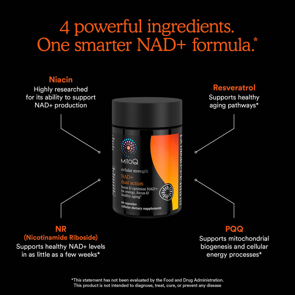 PQQ and resveratrol visuals indicate mitochondrial support in MitoQ formula.