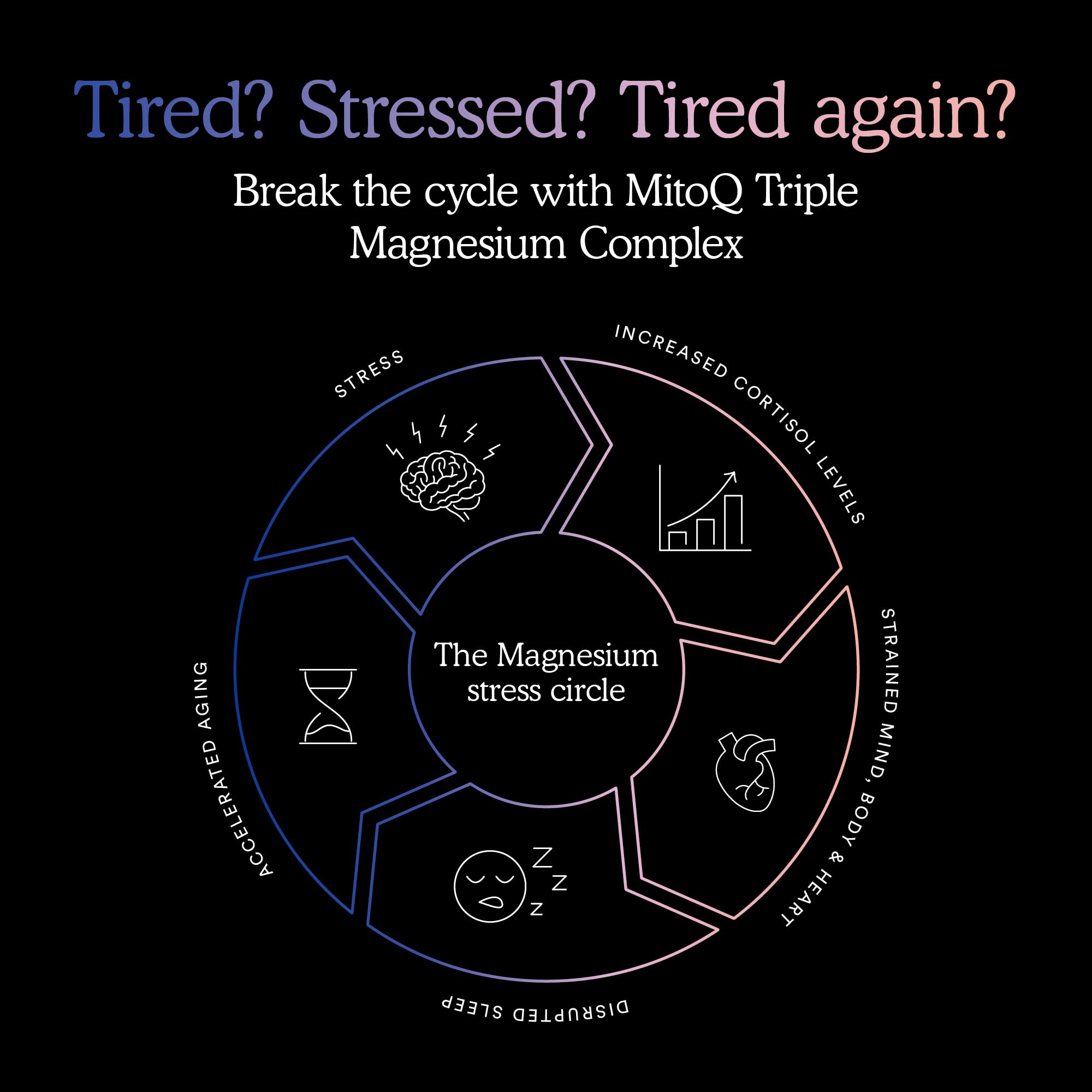 MitoQ Triple Magnesium packaging on desk reinforces a wellness routine