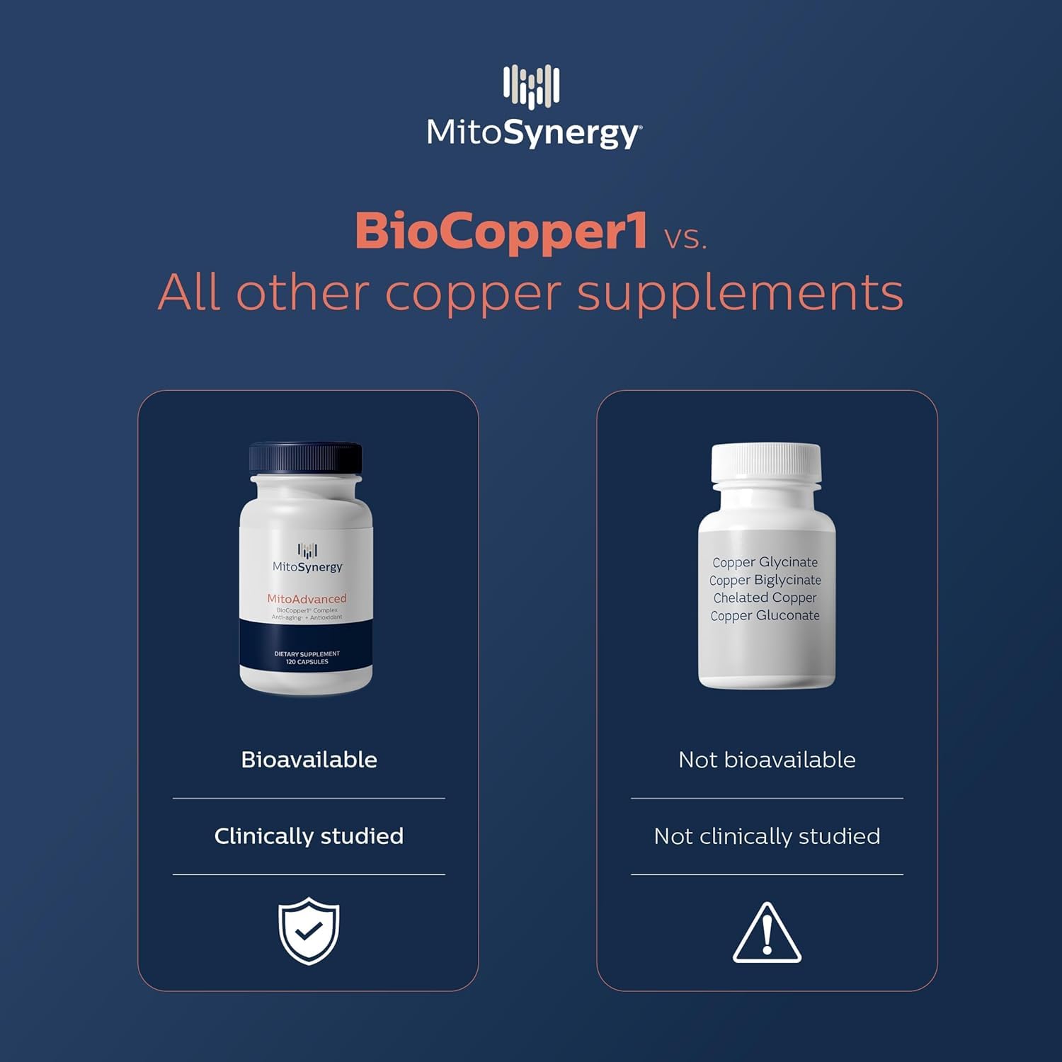 CoQ10 ingredient panel emphasizing cellular energy support with key nutrients.