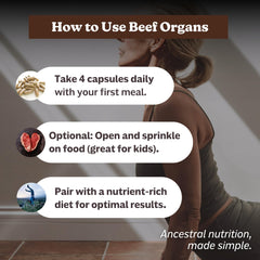 MK Supplements beef organ ingredients panel reveals liver, heart, kidney, spleen, pancreas