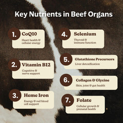 Liver capsule from MK Supplements beef organ mix for daily nutrition