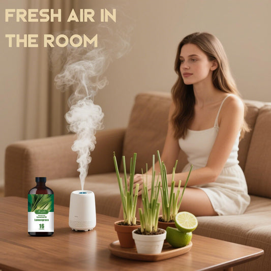 MLYNKL Lemongrass essential oil diffuser setup, refreshing aroma for any room.