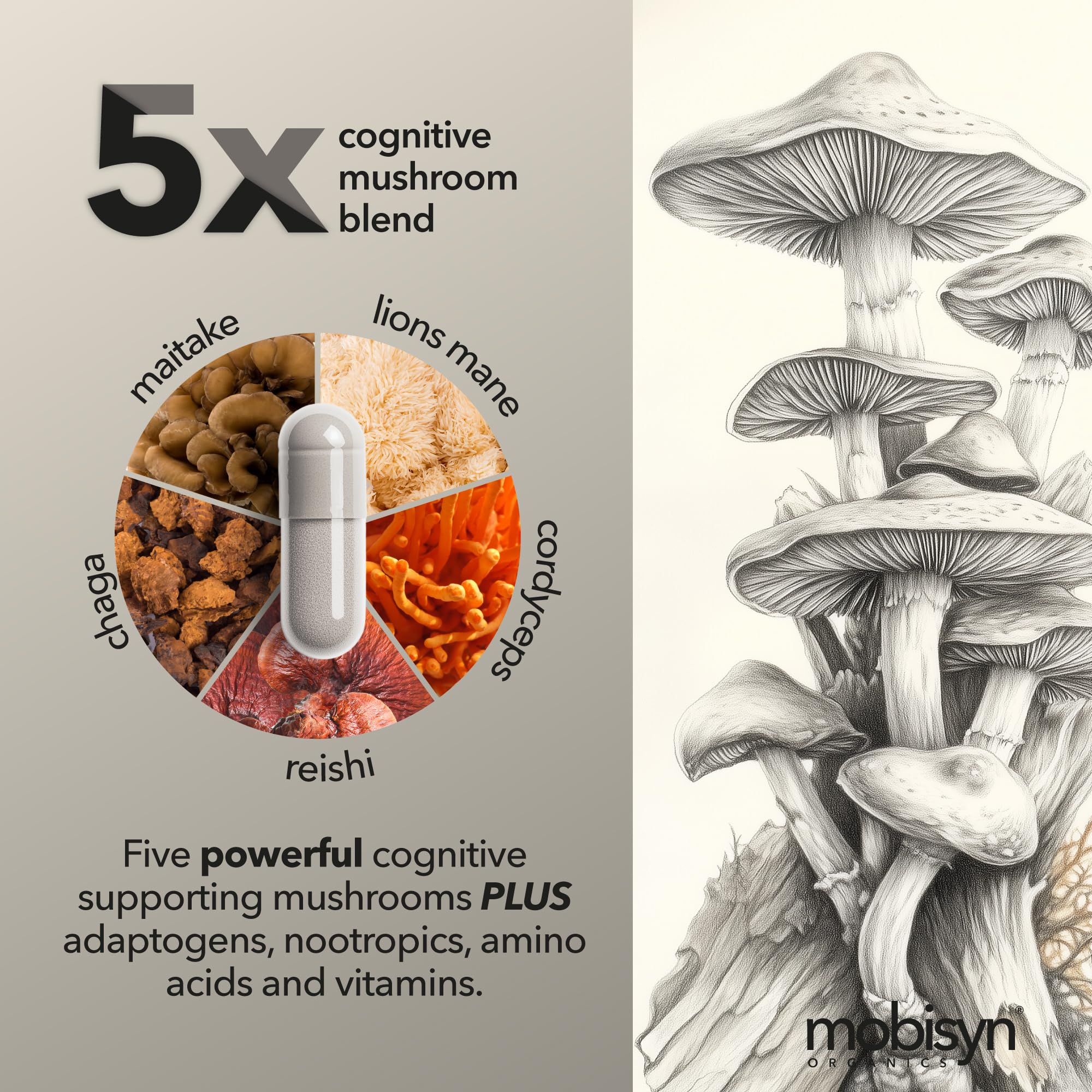 Mobisyn Rhodiola RhodioLife ingredient vial emphasizing sustained energy
