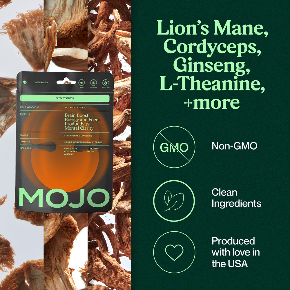 Mojo Extra Strength Focus Gummies Ginger Root bottle close-up signaling gentle energy