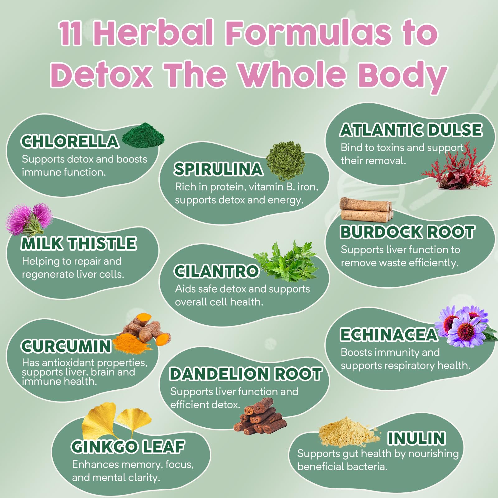 Molorik Pure Zeolite Detox probiotic bottle highlights 5 billion CFU and daily support.