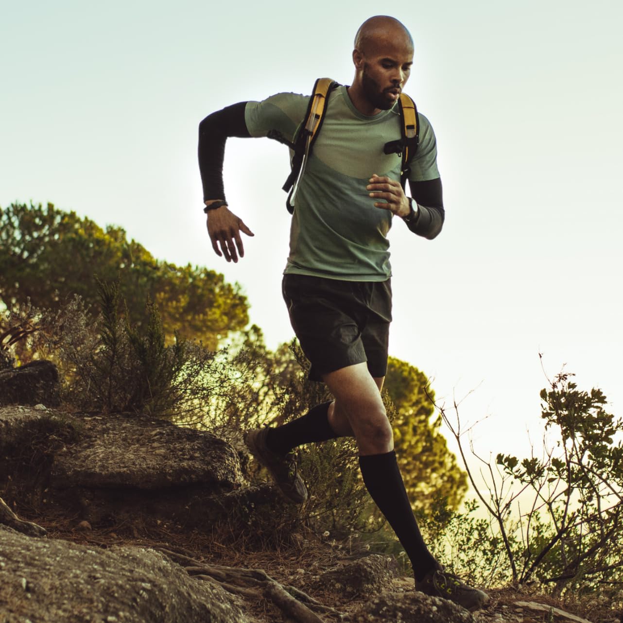 Momentous Acetyl L-Carnitine NSF icon indicates certified safety and quality.