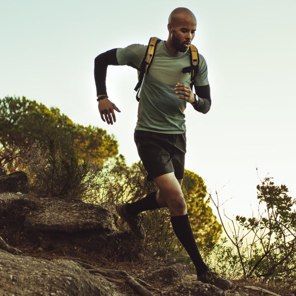 Momentous Acetyl L-Carnitine NSF icon indicates certified safety and quality.