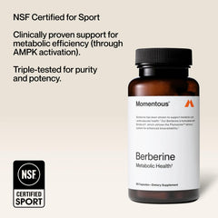 Momentous Berberine bottle on desk conveys lifestyle-friendly supplement routine.