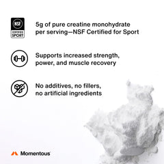 Momentous Creatine Monohydrate scoop shows precise 5 g serving for consistent dosing.