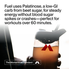 Momentous Fuel shaker filled and ready to drink after mixing for steady energy.