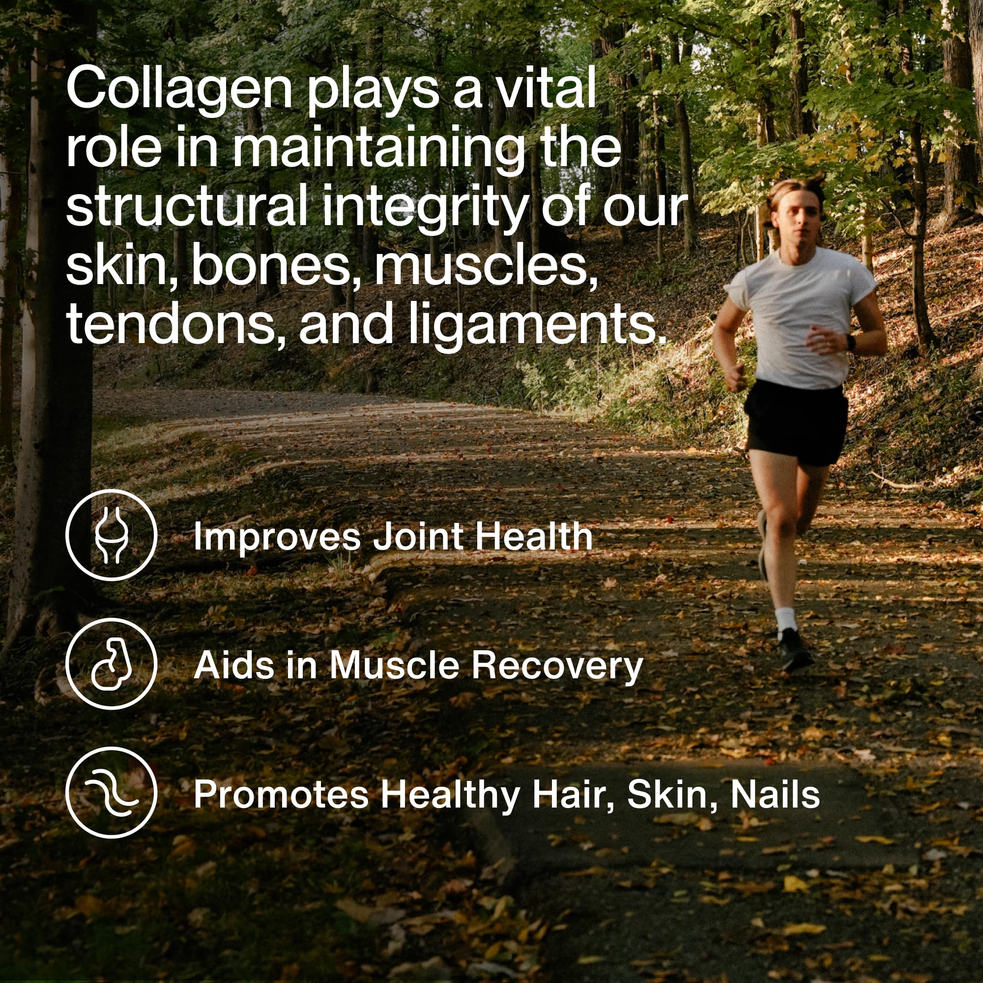 Close-up of Momentous collagen peptides powder showing clean formula
