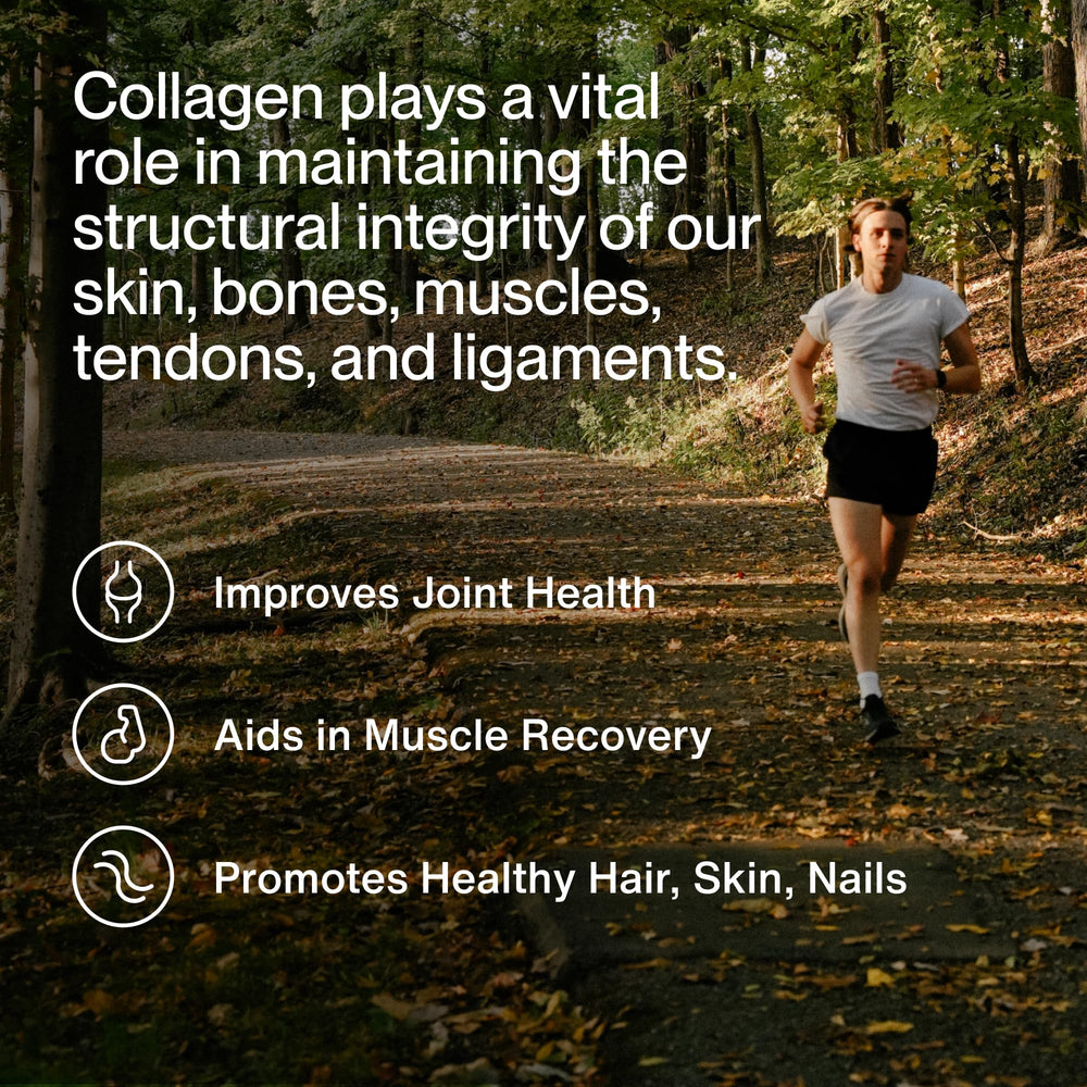 Close-up of Momentous collagen peptides powder showing clean formula