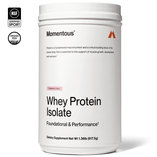 Momentous Essential Grass-Fed Whey Strawberry scoop shows convenient serving for quick fueling.