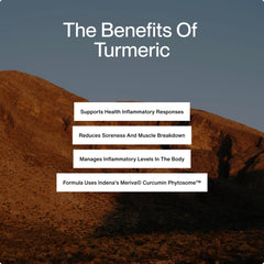 Momentous Meriva Curcumin Phytosome absorption graphic for improved uptake