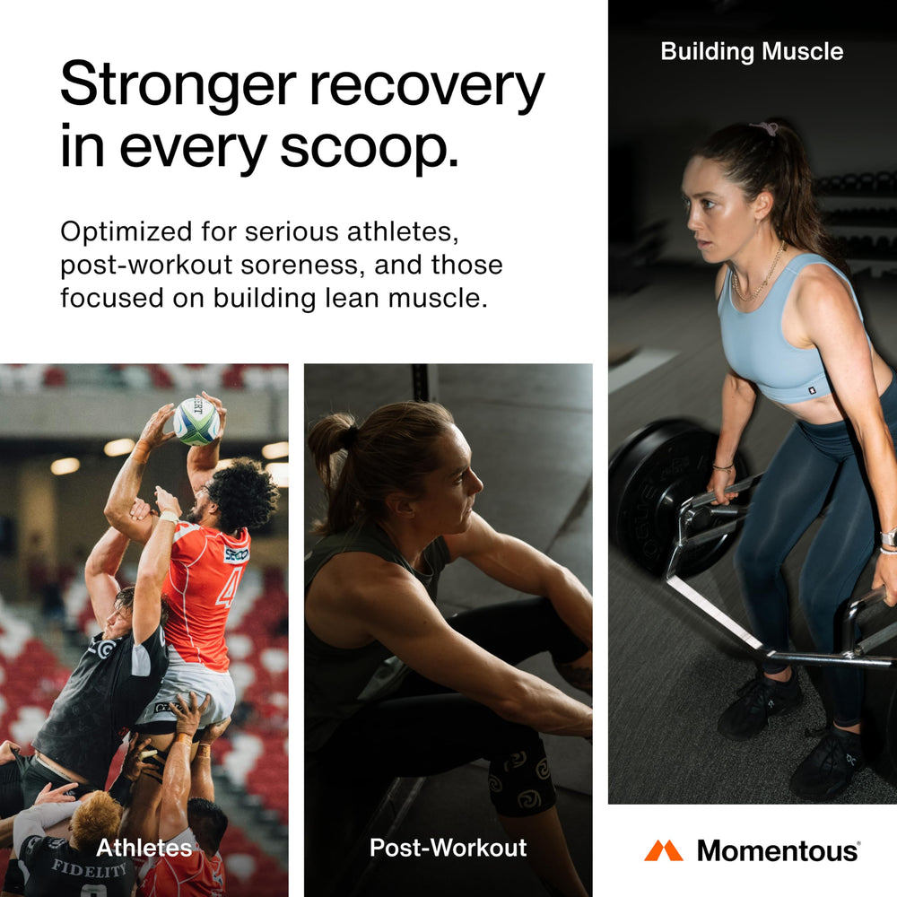 Momentous Recovery label with NSF for Sport badge visible.
