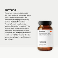 Momentous Turmeric antioxidant visual indicating protective potential