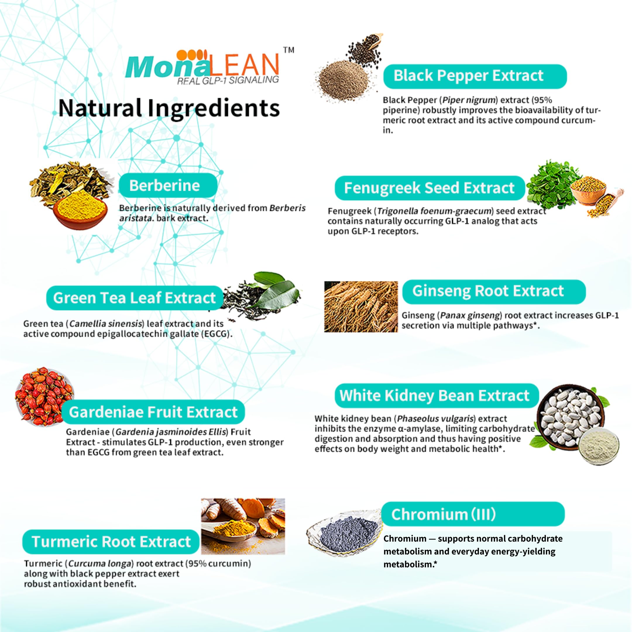 MonaLean Theramone berberine-chromium blend with natural ingredients