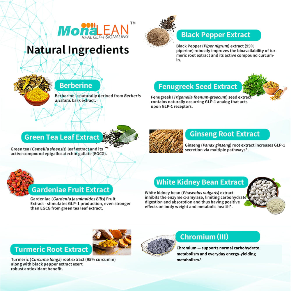 MonaLean Theramone berberine-chromium blend with natural ingredients