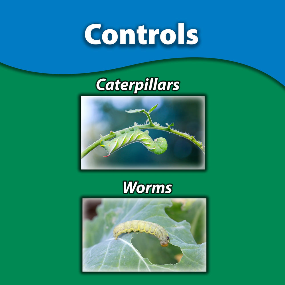 Ready-to-spray Monterey B.t. in action for garden pest control
