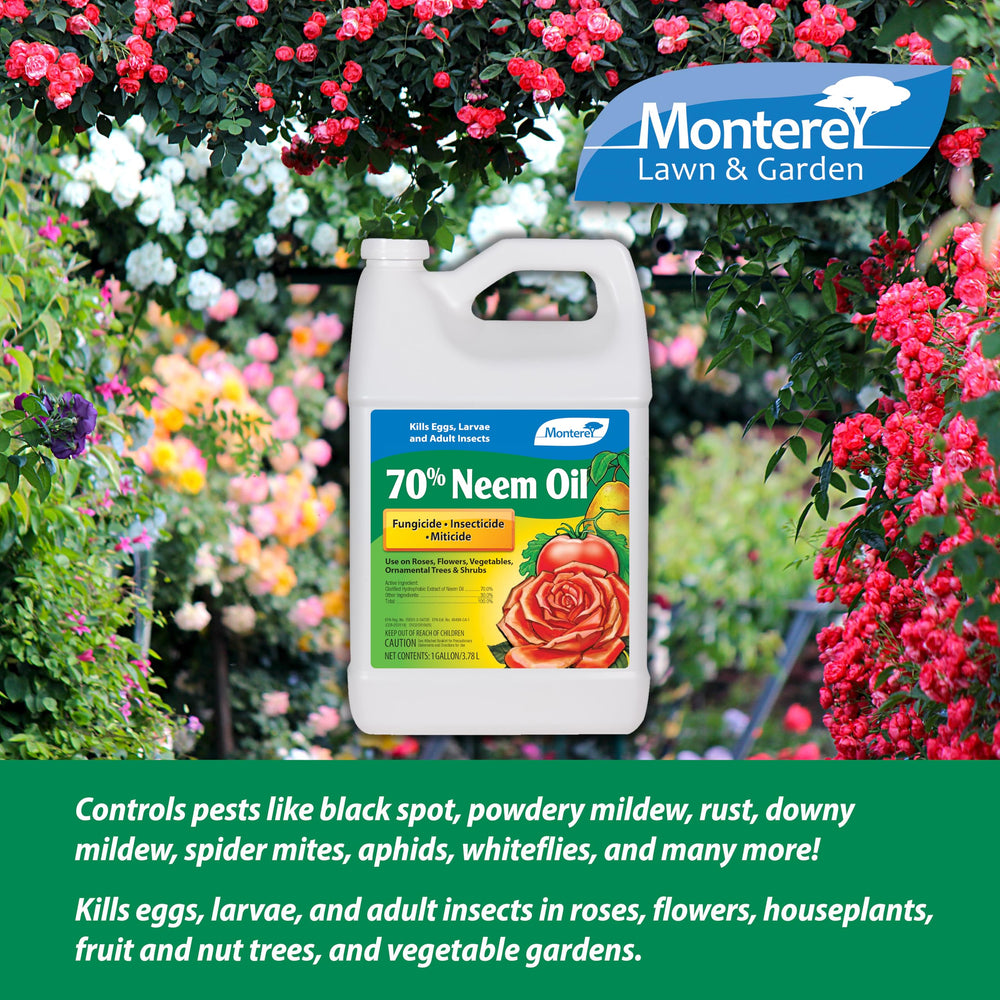 Dilution and mixing of Monterey Neem Oil in a spray solution
