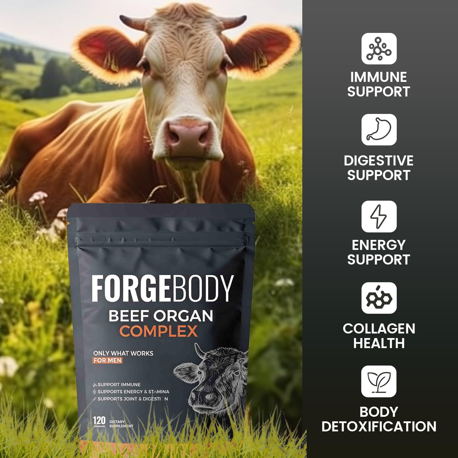 MORANDEE Forgebody beef organ origin from grass-fed beef for quality nutrition