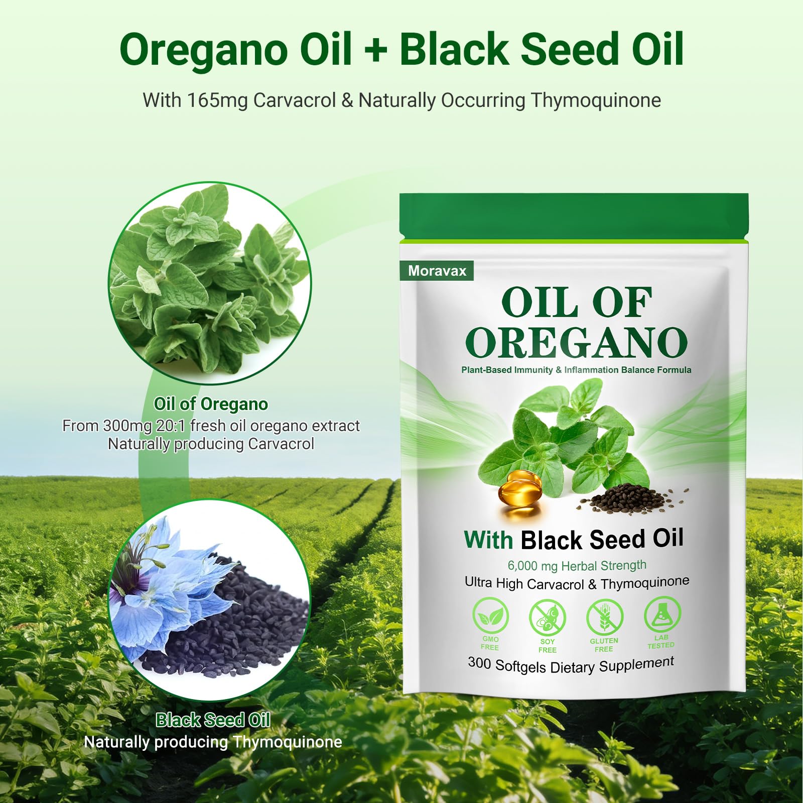 Moravax Black Seed Oil capsules rich in thymoquinone for wellness