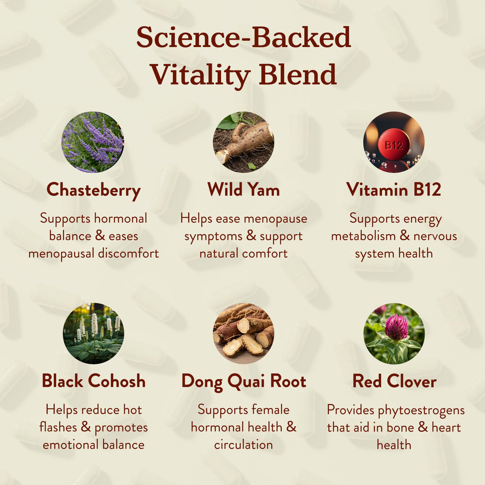 More. Longevity & Wellbeing botanical blend illustrating five wellness pathways.