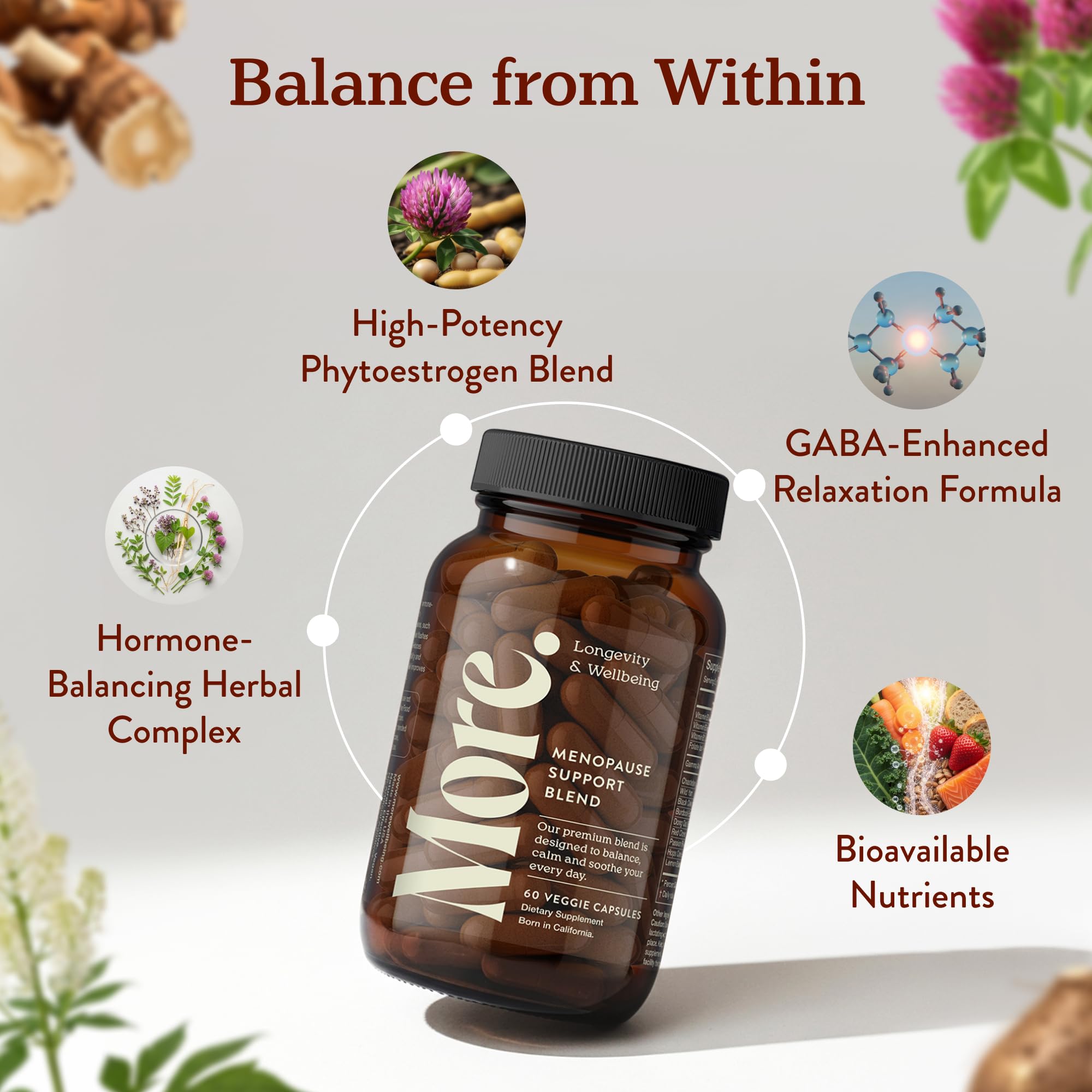 More. Longevity & Wellbeing capsule close-up showing easy daily dosage.