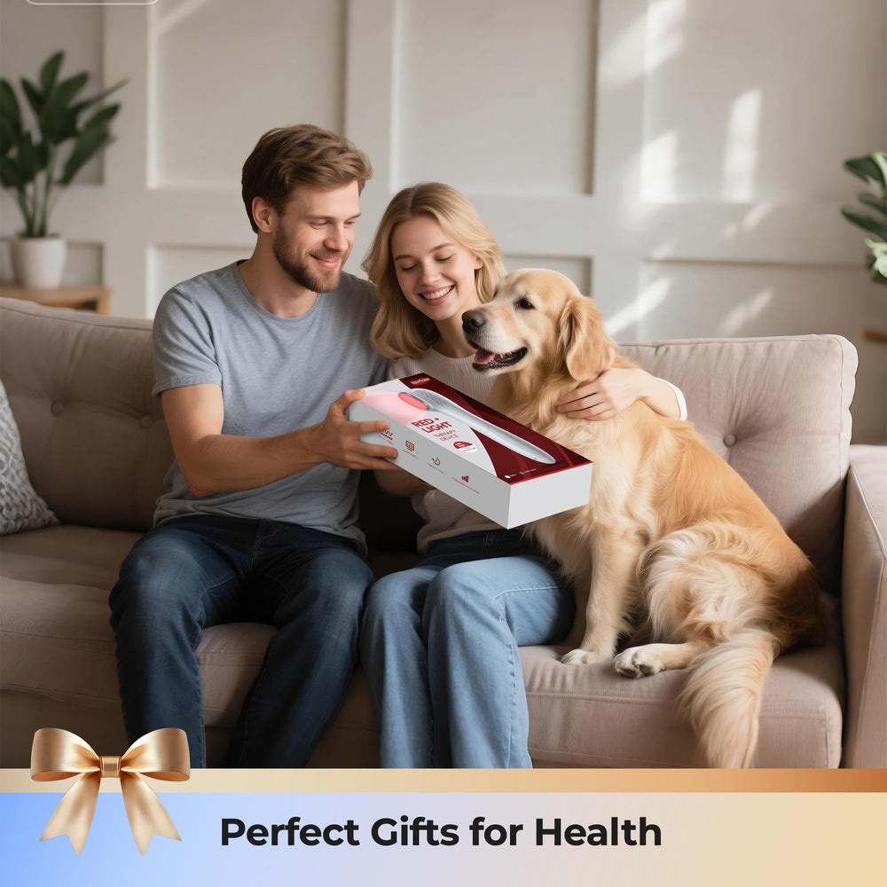 Morfone in gym or office setup for convenient wellness sessions.