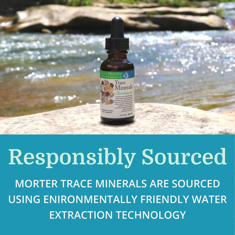 Morter HealthSystem alkaline minerals label showing product details.