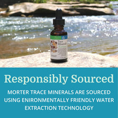 Morter HealthSystem alkaline minerals label showing product details.
