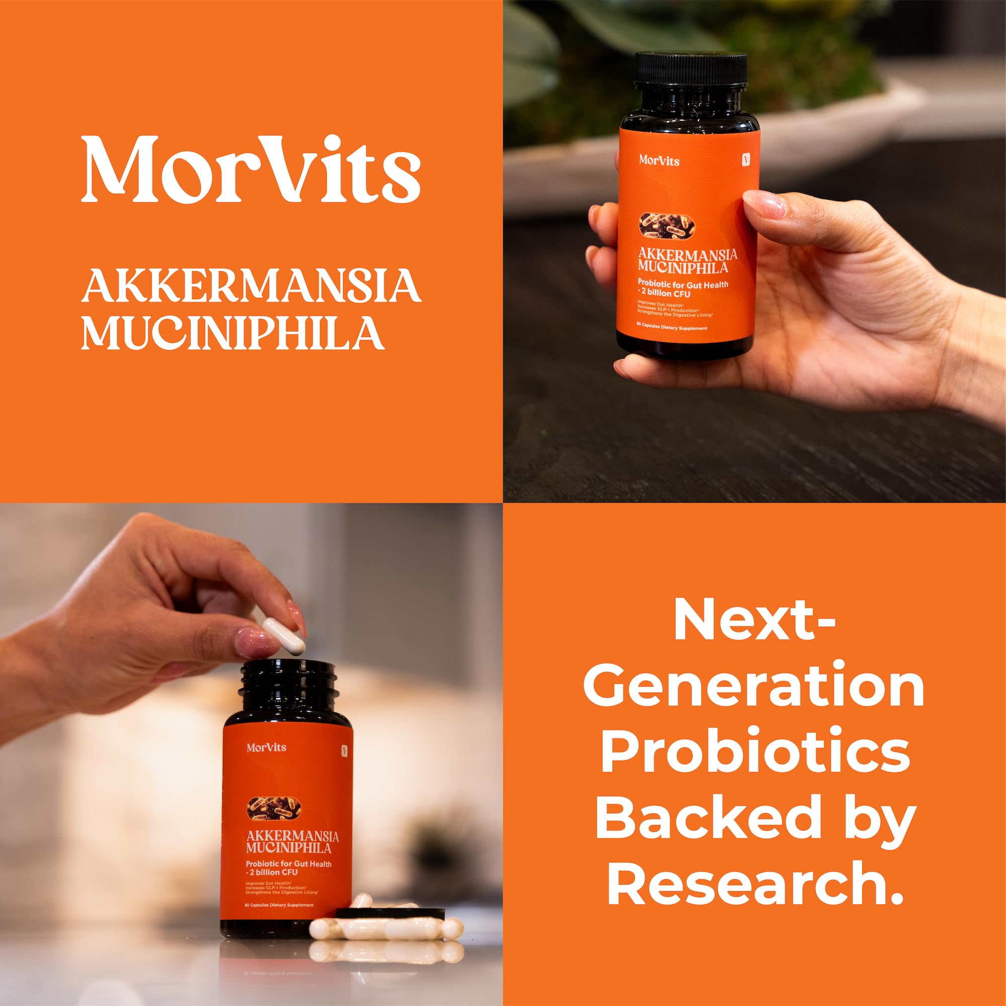 Morvits Akkermansia probiotic daily-dose layout.