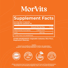 Morvits Akkermansia probiotic scene showing a gut health routine.