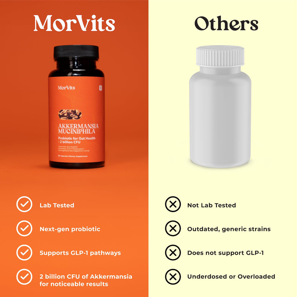 Morvits Akkermansia probiotic with chicory inulin prebiotic fiber.