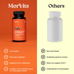 Morvits Akkermansia probiotic with chicory inulin prebiotic fiber.