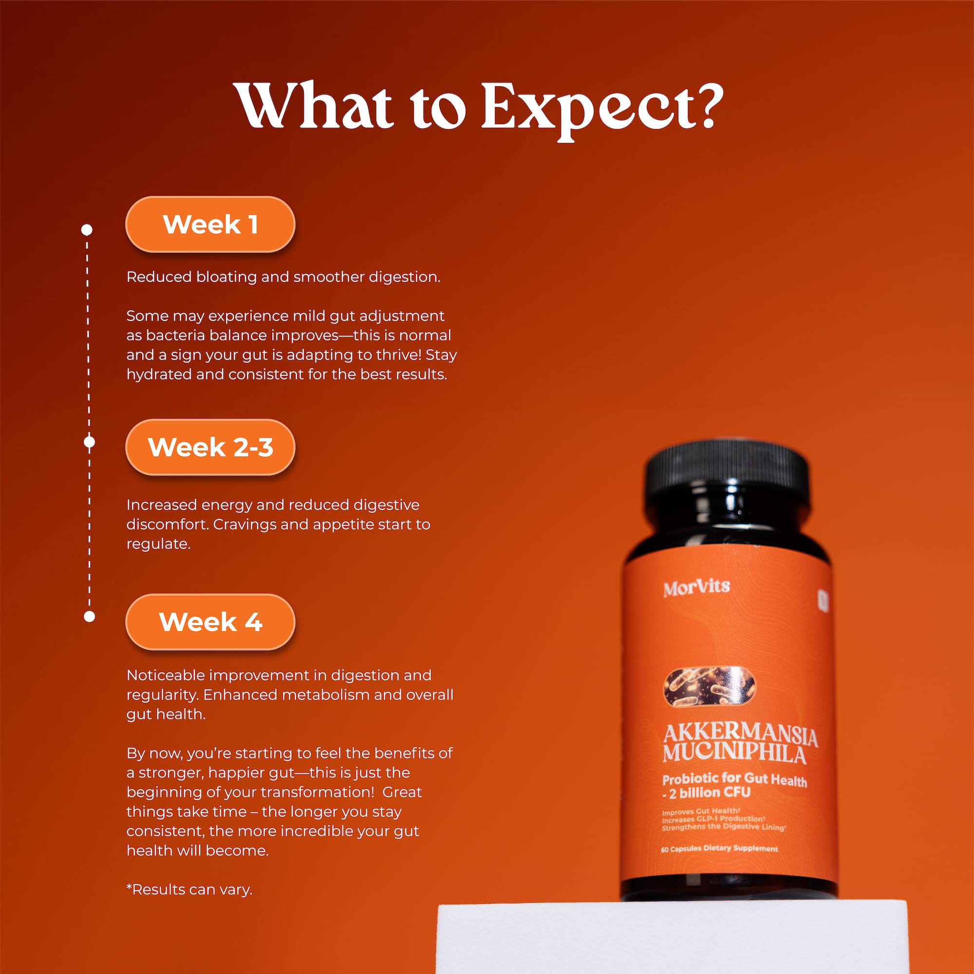Morvits Akkermansia probiotic vegan capsules.